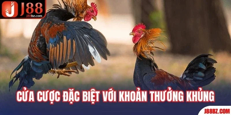 Cửa cược đặc biệt với khoản thưởng khủng