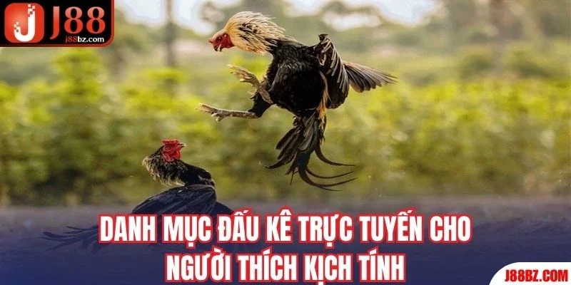 Danh mục đấu kê trực tuyến cho người thích kịch tính