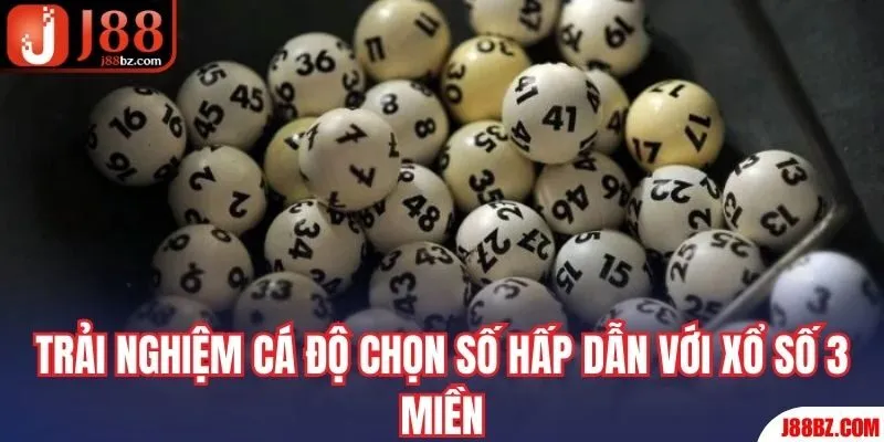 Trải nghiệm cá độ chọn số hấp dẫn với xổ số 3 miền